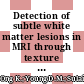 Detection of subtle white matter lesions in MRI through texture feature extraction and boundary delineation using an embedded clustering strategy