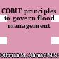 COBIT principles to govern flood management