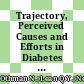 Trajectory, Perceived Causes and Efforts in Diabetes Self-management: A Qualitative Study Among Young People With Type 2 Diabetes Mellitus and Caregivers