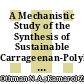 A Mechanistic Study of the Synthesis of Sustainable Carrageenan-Polylactic Acid Biocomposite