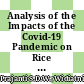 Analysis of the Impacts of the Covid-19 Pandemic on Rice Farming Efficiency Level: An Empirical Study in Central Java Province, Indonesia