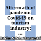 Aftermath of pandemic Covid-19 on tourism industry: A review on virtual tourism platform