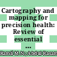 Cartography and mapping for precision health: Review of essential elements for disease mapping