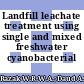 Landfill leachate treatment using single and mixed freshwater cyanobacterial isolates