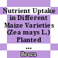 Nutrient Uptake in Different Maize Varieties (Zea mays L.) Planted in Peat Materials