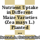 Nutrient Uptake in Different Maize Varieties (Zea mays L.) Planted in Tropical Peat Materials