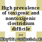 High prevalence of toxigenic and nontoxigenic clostridium difficile strains in Malaysia