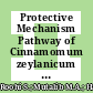 Protective Mechanism Pathway of Cinnamomum zeylanicum at High Dosage against Liver and Renal Damage in STZ-Induced Diabetic Rats