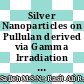 Silver Nanoparticles on Pullulan derived via Gamma Irradiation Method: A Preliminary Analysis