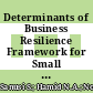 Determinants of Business Resilience Framework for Small Businesses: Moderating Effects of Financial Literacy