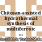 Chitosan-assisted hydrothermal synthesis of multiferroic BiFeO3: Effects on structural, magnetic and optical properties