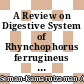 A Review on Digestive System of Rhynchophorus ferrugineus as Potential Target to Develop Control Strategies