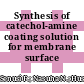 Synthesis of catechol-amine coating solution for membrane surface modification