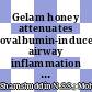 Gelam honey attenuates ovalbumin-induced airway inflammation in a mice model of allergic asthma