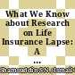 What We Know about Research on Life Insurance Lapse: A Bibliometric Analysis