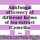 Antifungal efficiency of different forms of tea extract (Camellia sinensis) against Candida albicans: An in vitro experimental study