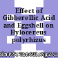 Effect of Gibberellic Acid and Eggshell on Hylocereus polyrhizus