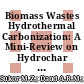 Biomass Wastes Hydrothermal Carbonization: A Mini-Review on Hydrochar Properties and Combustion Performance