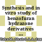 Synthesis and in vitro study of benzofuran hydrazone derivatives as novel alpha-amylase inhibitor