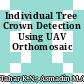 Individual Tree Crown Detection Using UAV Orthomosaic
