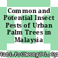 Common and Potential Insect Pests of Urban Palm Trees in Malaysia
