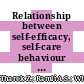 Relationship between self-efficacy, self-care behaviour and glycaemic control among patients with type 2 diabetes mellitus in the Malaysian primary care setting