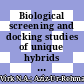 Biological screening and docking studies of unique hybrids synthesized by conventional versus microwave-assisted techniques
