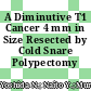 A Diminutive T1 Cancer 4 mm in Size Resected by Cold Snare Polypectomy