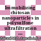 Immobilizing chitosan nanoparticles in polysulfone ultrafiltration hollow fibre membranes for improving uremic toxins removal