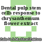 Dental pulp stem cells response to chrysanthemum flower extract