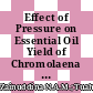 Effect of Pressure on Essential Oil Yield of Chromolaena Odorata Leaves Extract using Supercritical Fluid Carbon Dioxide