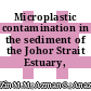 Microplastic contamination in the sediment of the Johor Strait Estuary, Malaysia