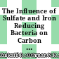The Influence of Sulfate and Iron Reducing Bacteria on Carbon Steel Corrosion in Marine Environments