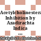 Acetylcholinesterase Inhibition by Azadirachta Indica Crude Extract on Pomacea Canaliculata