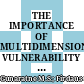 THE IMPORTANCE OF MULTIDIMENSIONAL VULNERABILITY ANALYSIS IN SUSTAINABLE DEVELOPMENT