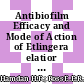 Antibiofilm Efficacy and Mode of Action of Etlingera elatior Extracts Against Staphylococcus aureus