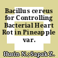 Bacillus cereus for Controlling Bacterial Heart Rot in Pineapple var. MD2
