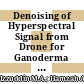 Denoising of Hyperspectral Signal from Drone for Ganoderma Disease Detection in Oil Palm