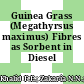 Guinea Grass (Megathyrsus maximus) Fibres as Sorbent in Diesel Bioremediation