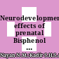 Neurodevelopmental effects of prenatal Bisphenol A exposure on the role of microRNA regulating NMDA receptor subunits in the male rat hippocampus