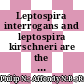 Leptospira interrogans and leptospira kirschneri are the dominant leptospira species causing human leptospirosis in central Malaysia