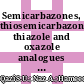 Semicarbazones, thiosemicarbazone, thiazole and oxazole analogues as monoamine oxidase inhibitors: Synthesis, characterization, biological evaluation, molecular docking, and kinetic studies