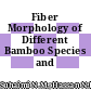 Fiber Morphology of Different Bamboo Species and Age